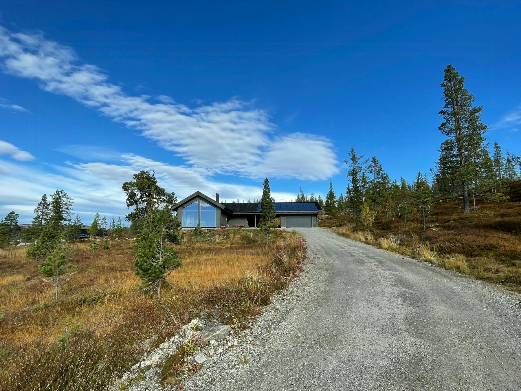 Hytta på Klevan sett fra grusveien, omgitt av furu og fjellvidde